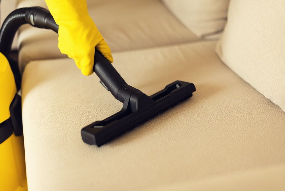 Cleaning sofa